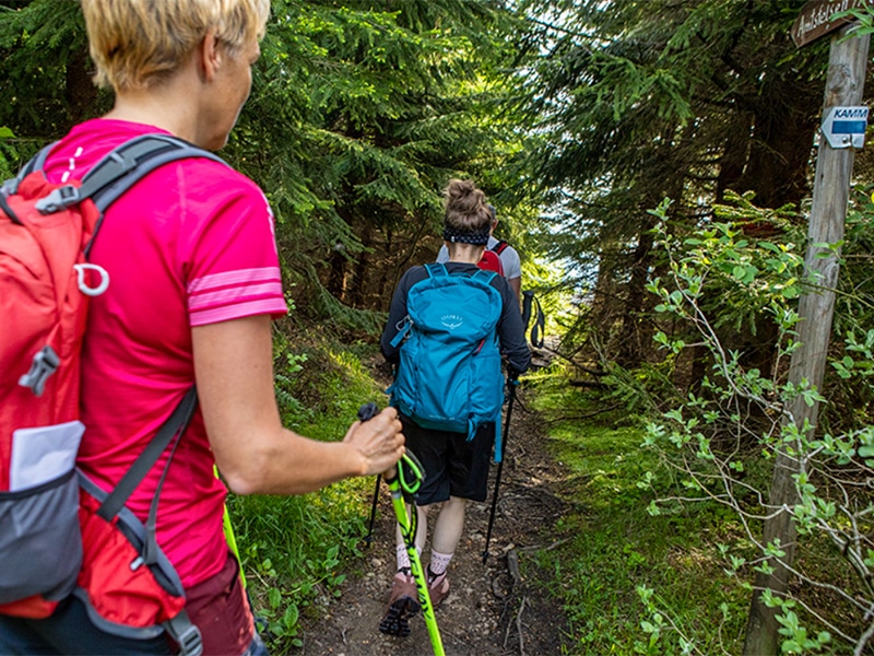 Aktiv-Tour (Wandern & Rollern) - Monsterroller Firmenausflug Oberwiesenthal