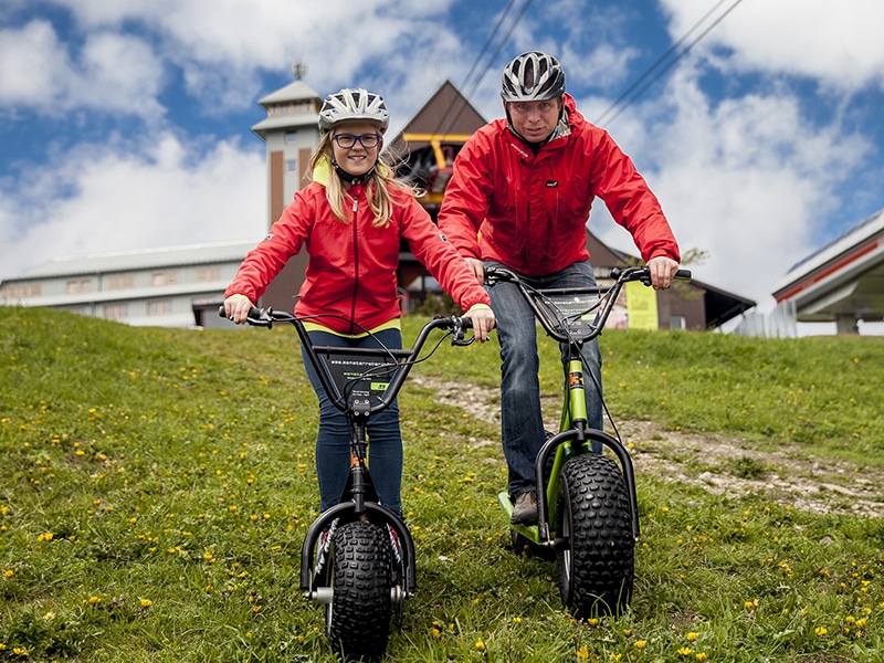 Erzgebirge Monsterroller