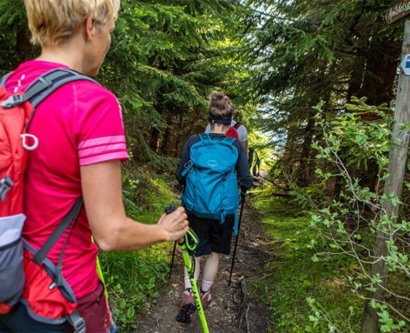 Aktiv-Tour (Wandern & Rollern) - Monsterroller Firmenausflug Oberwiesenthal