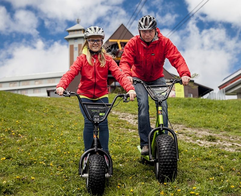 Erzgebirge Monsterroller